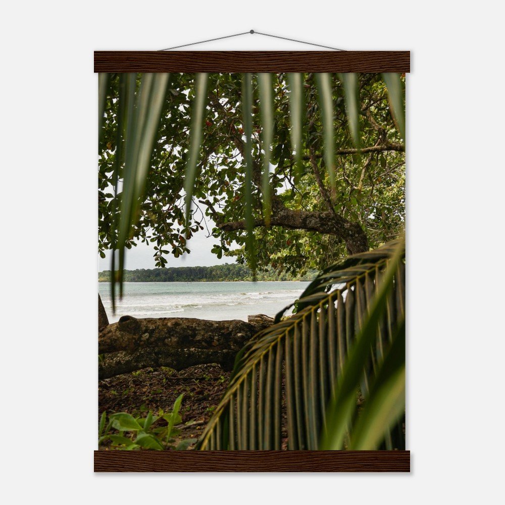 81bc86c2-c080-456a-a7ef-a311f7e68412