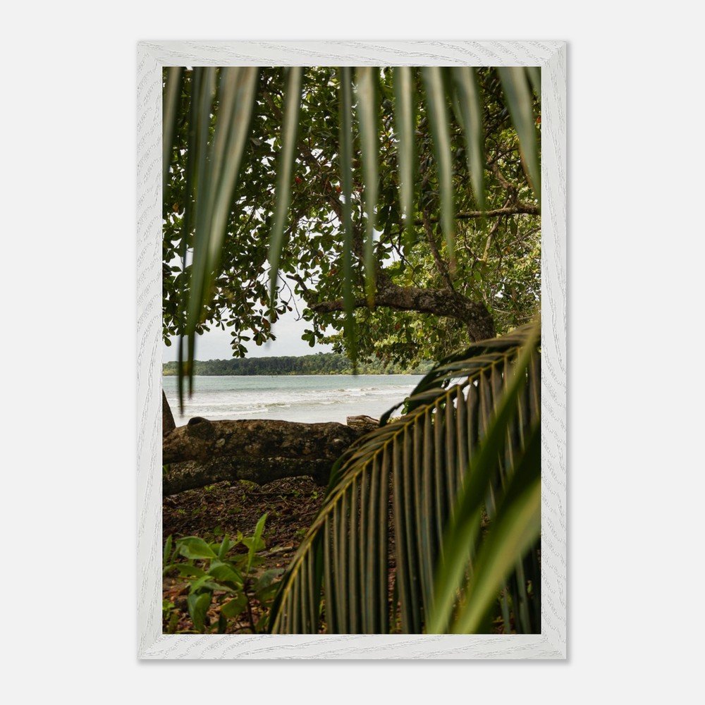 costa rica caribbean sea framed fine art print travel photography print hawaii photography beach print travel decor wall art 83665722-1757-4c6e-9bcb-708cdc73c51f