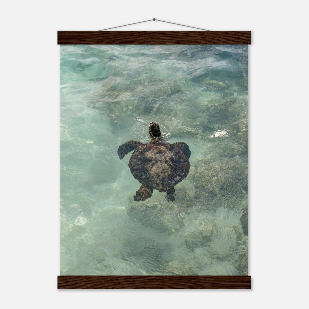 847bd715-d70e-4cd7-8dcf-93a9d2cb3e98