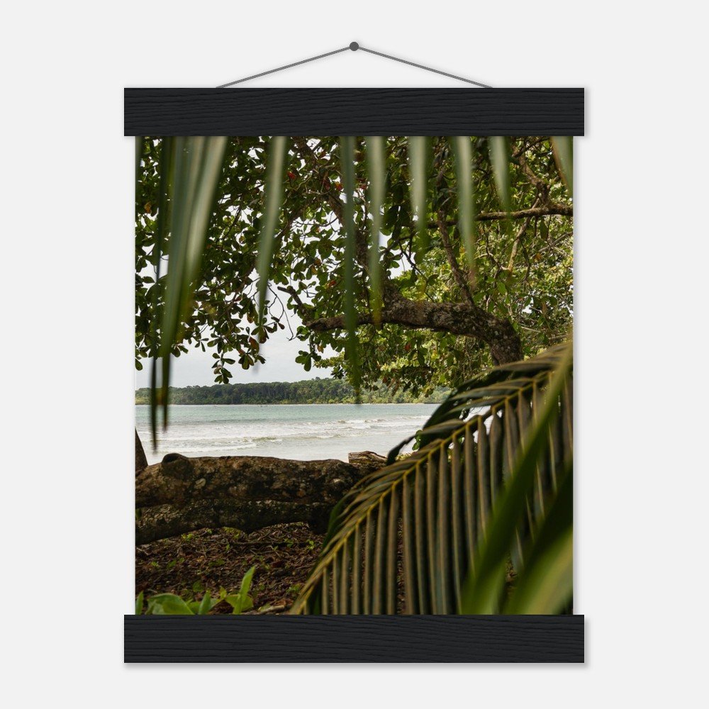 85dcfa5d-6359-4991-af76-30daafd6015f