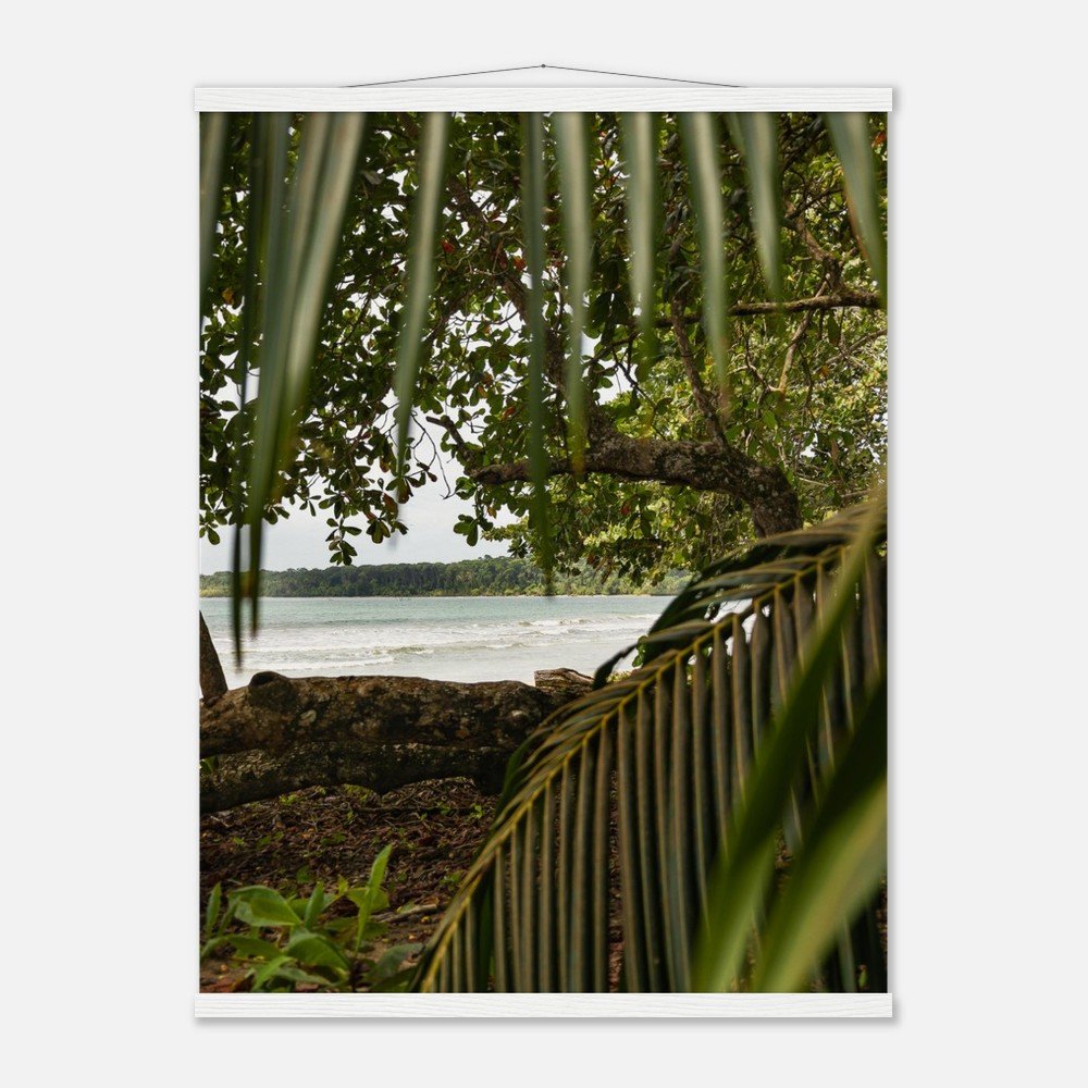 8693ce14-96d4-410b-ba34-5385b8e3428d