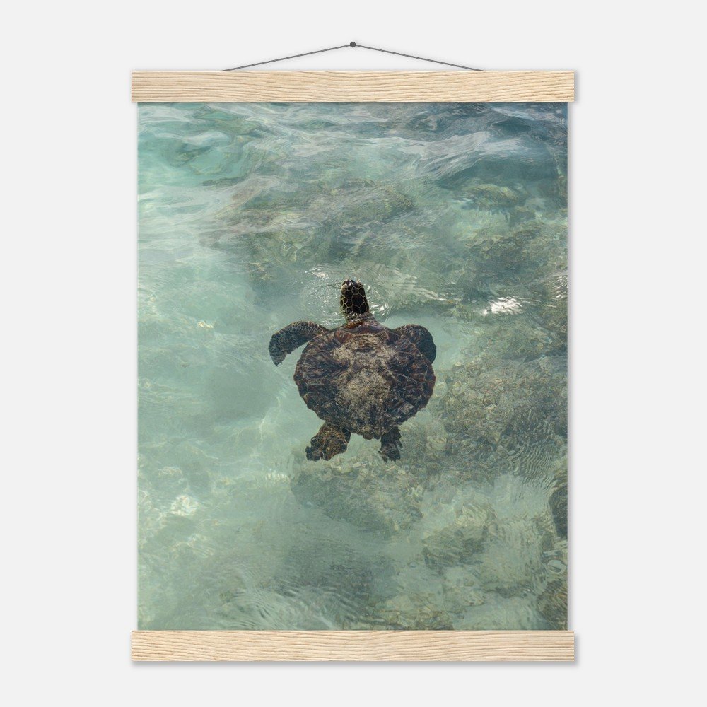 8d60b43d-775d-407a-8be5-71249f452bee