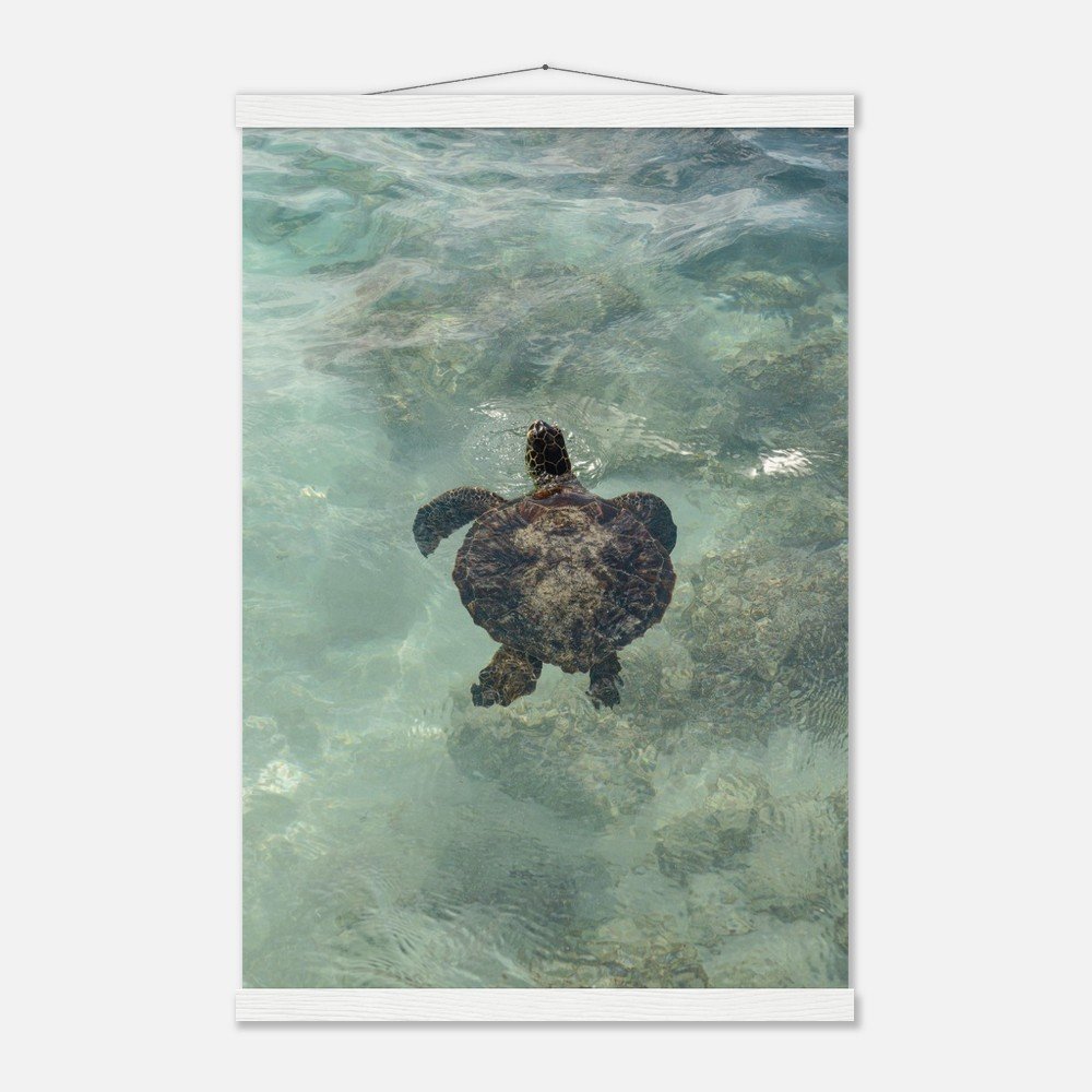 922cdb22-e115-4399-9a92-49ef8aa7b6d4