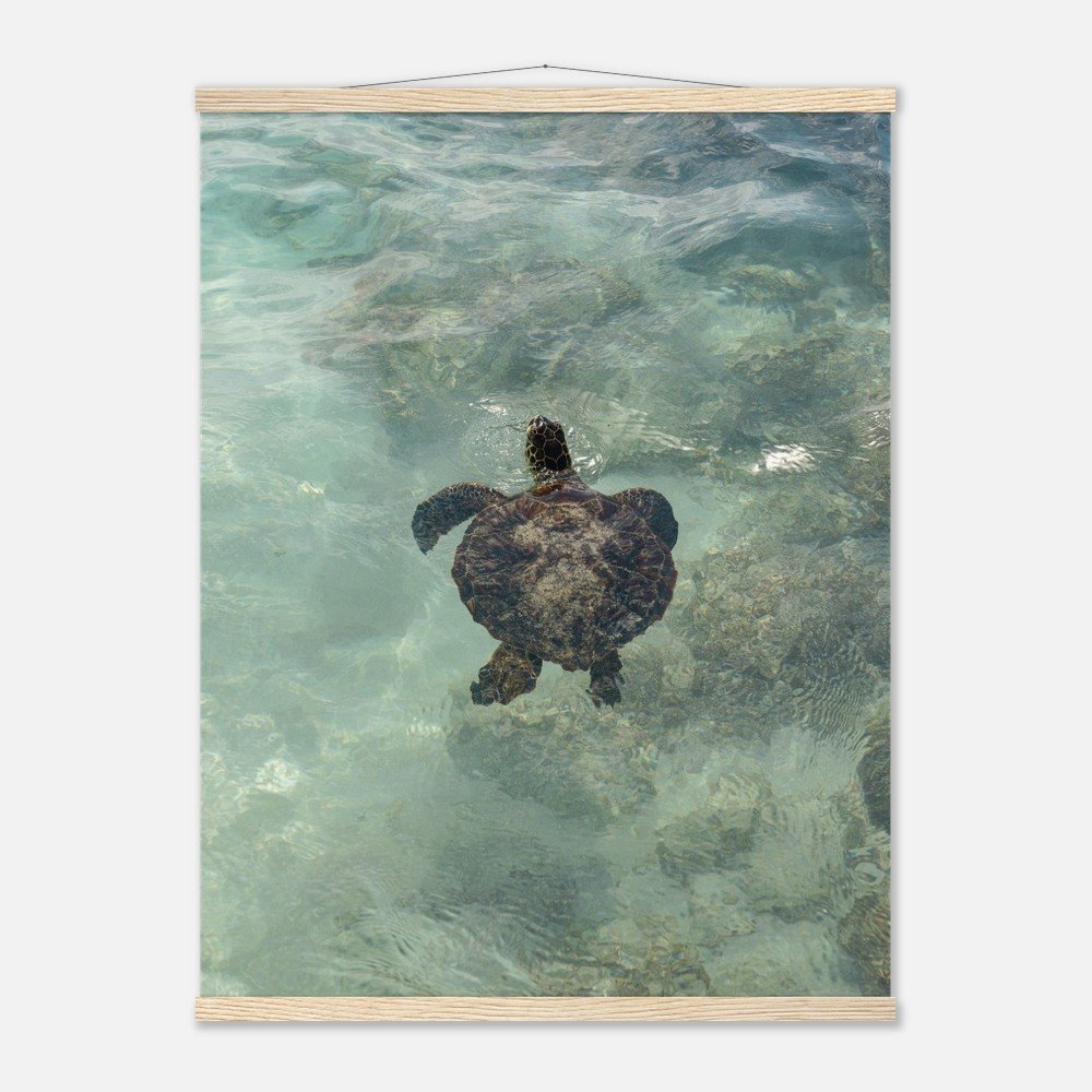 9247ded1-3736-47fe-859d-c9263e85d9b8