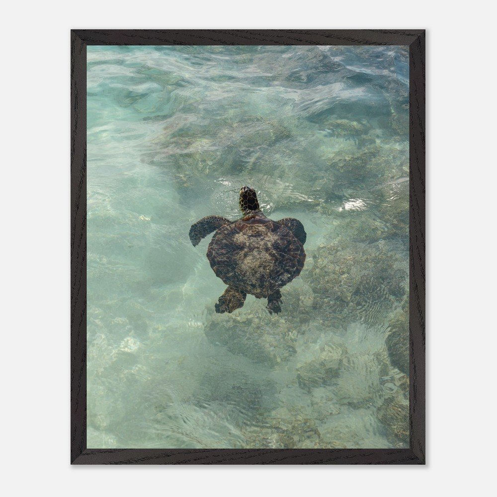 993075b1-ac84-449f-a819-cb0698842181