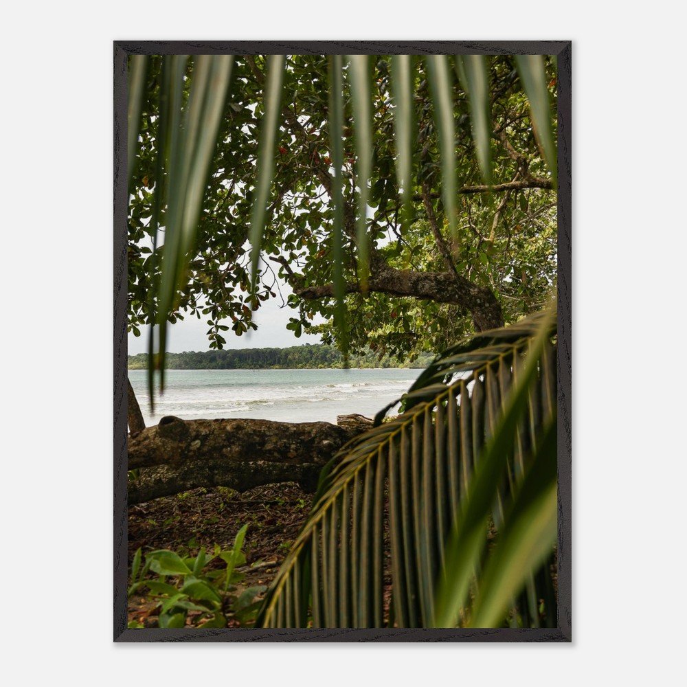 costa rica caribbean sea framed fine art print travel photography print hawaii photography beach print travel decor wall art 99b19d4f-bdf1-45ae-a2e7-0356f395cbad