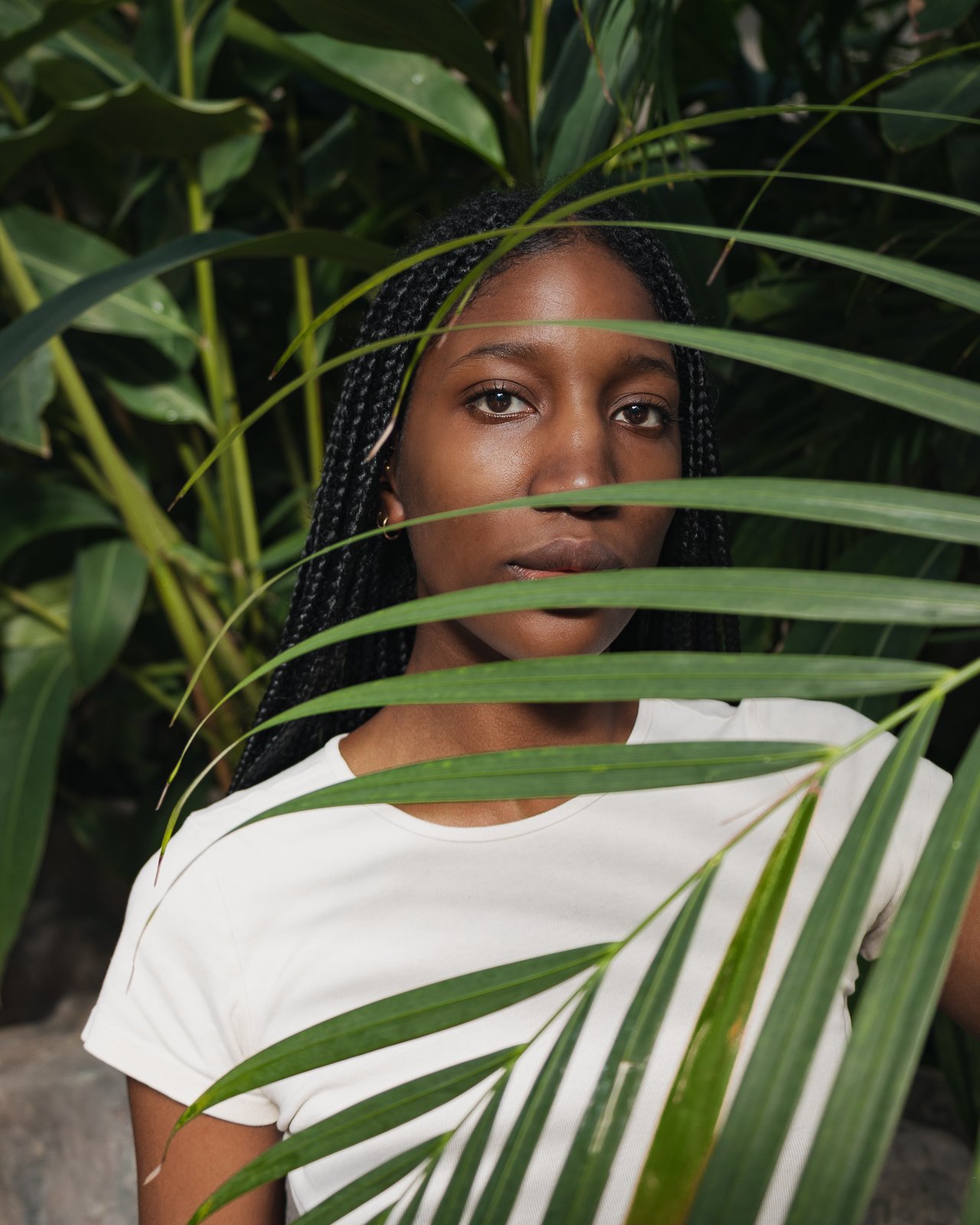 Au coeur de la serre