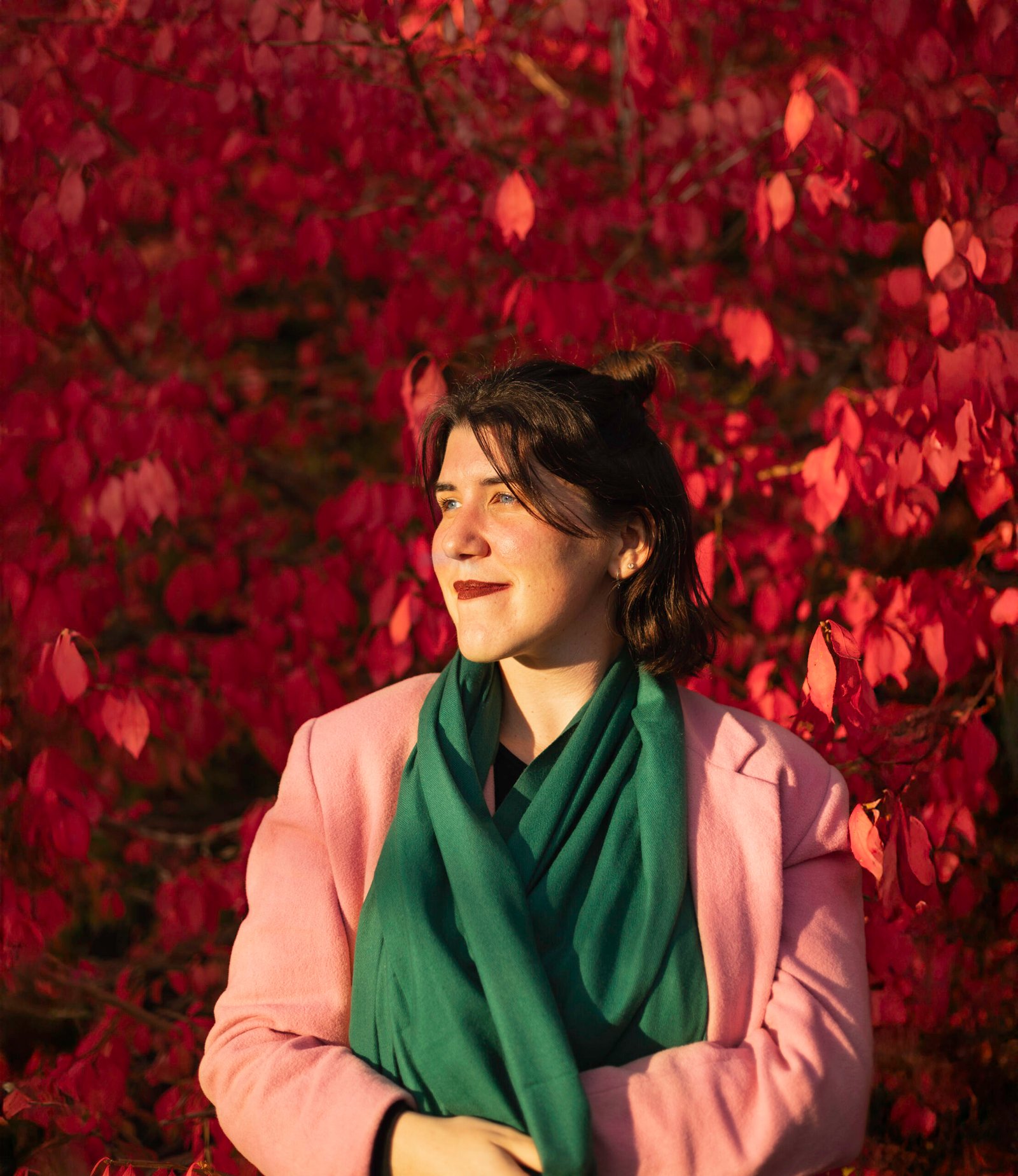 Couleurs d&rsquo;automne