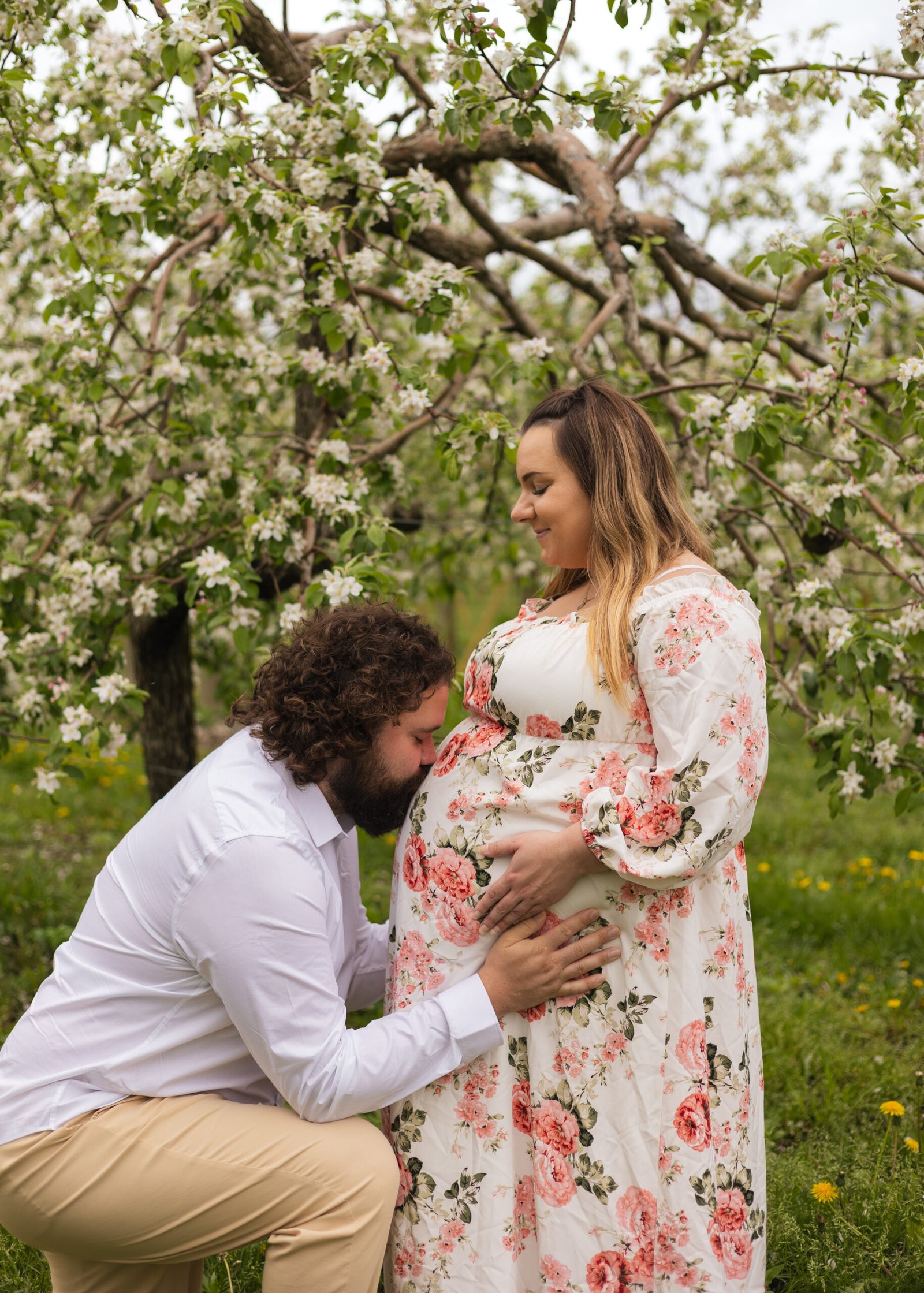 Séance maternité verger en fleurs