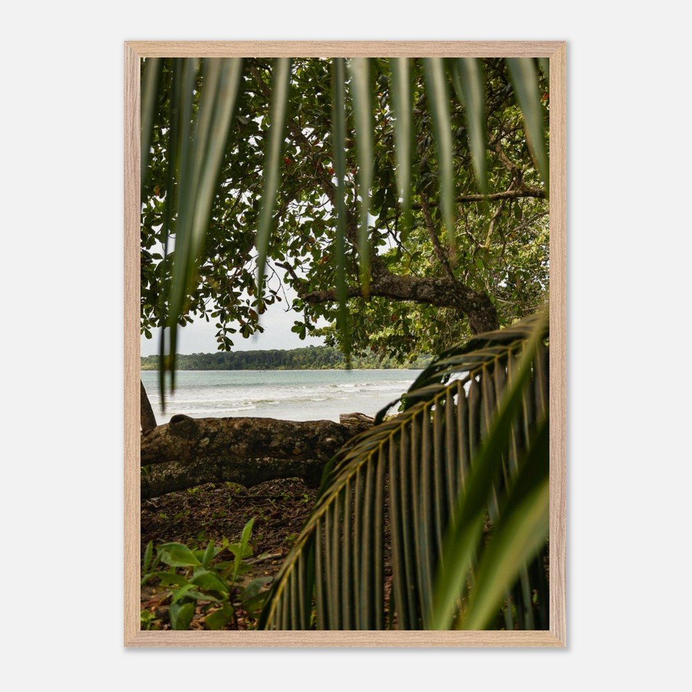 costa rica caribbean sea framed fine art print travel photography print hawaii photography beach print travel decor wall art a4f18b09-4dc8-441b-8207-436cadde94b0