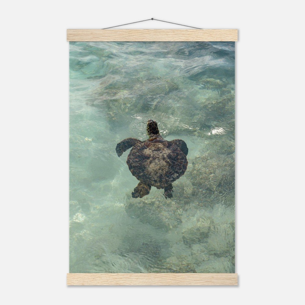 aa9f4211-1fde-47a0-a093-cfd198a098af