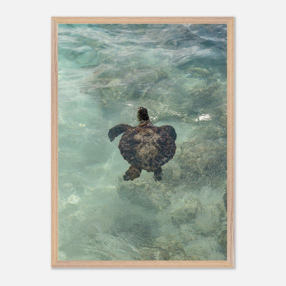 acdbd8e3-6b8b-45e0-865b-d67eb3170d63