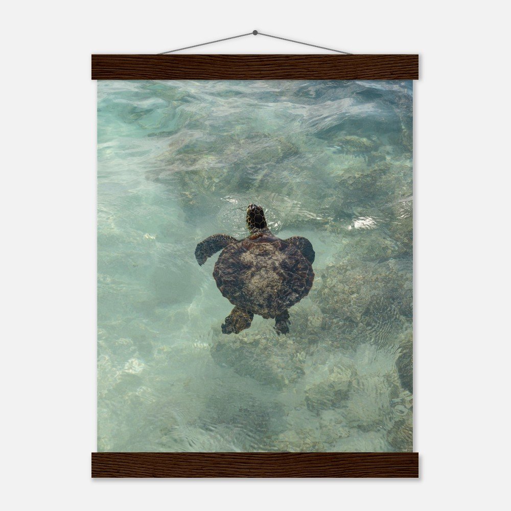 af57bf6a-b153-4c6d-8710-8c20dc81fd1e