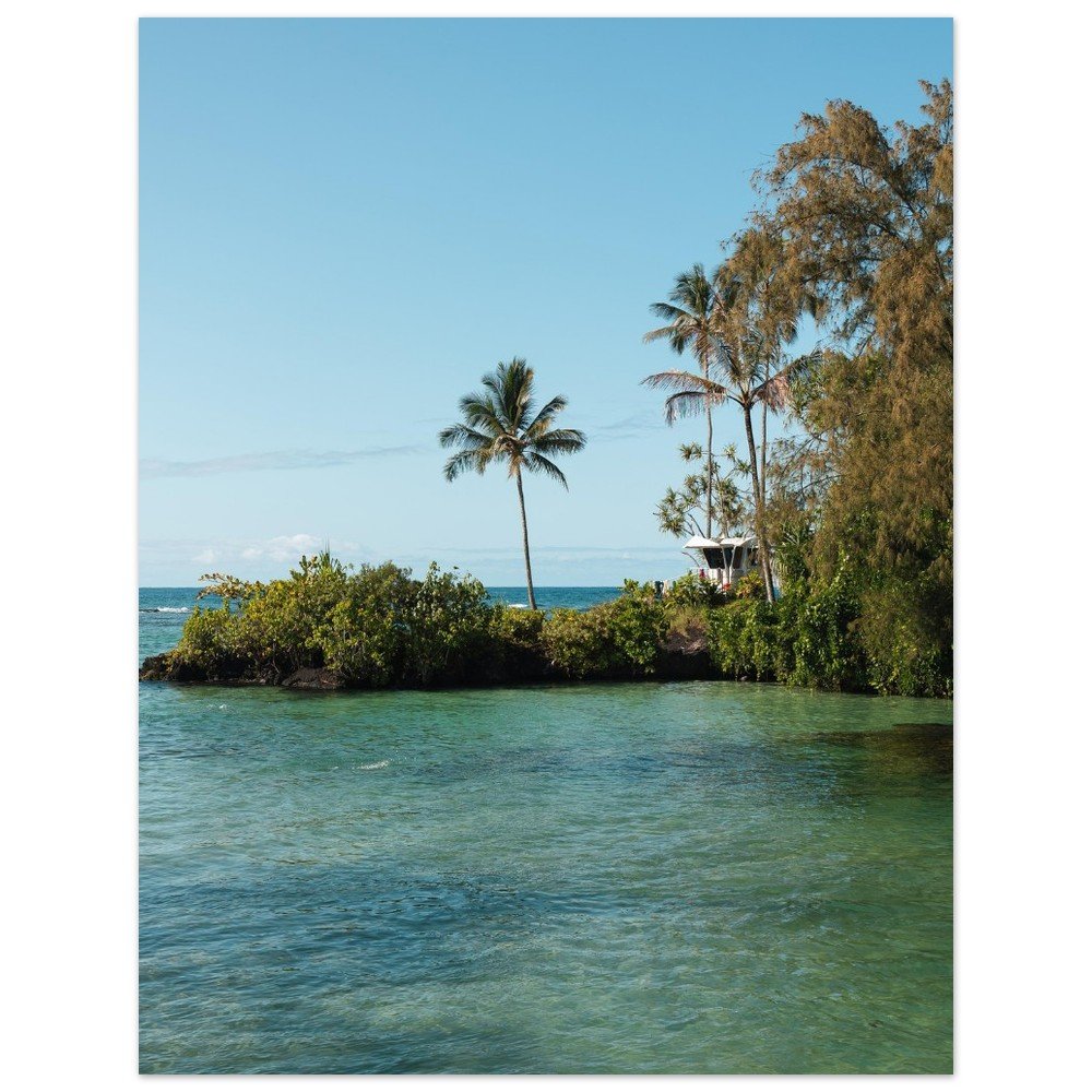 b177b0e3-ce1a-415d-9501-e96f7450843d