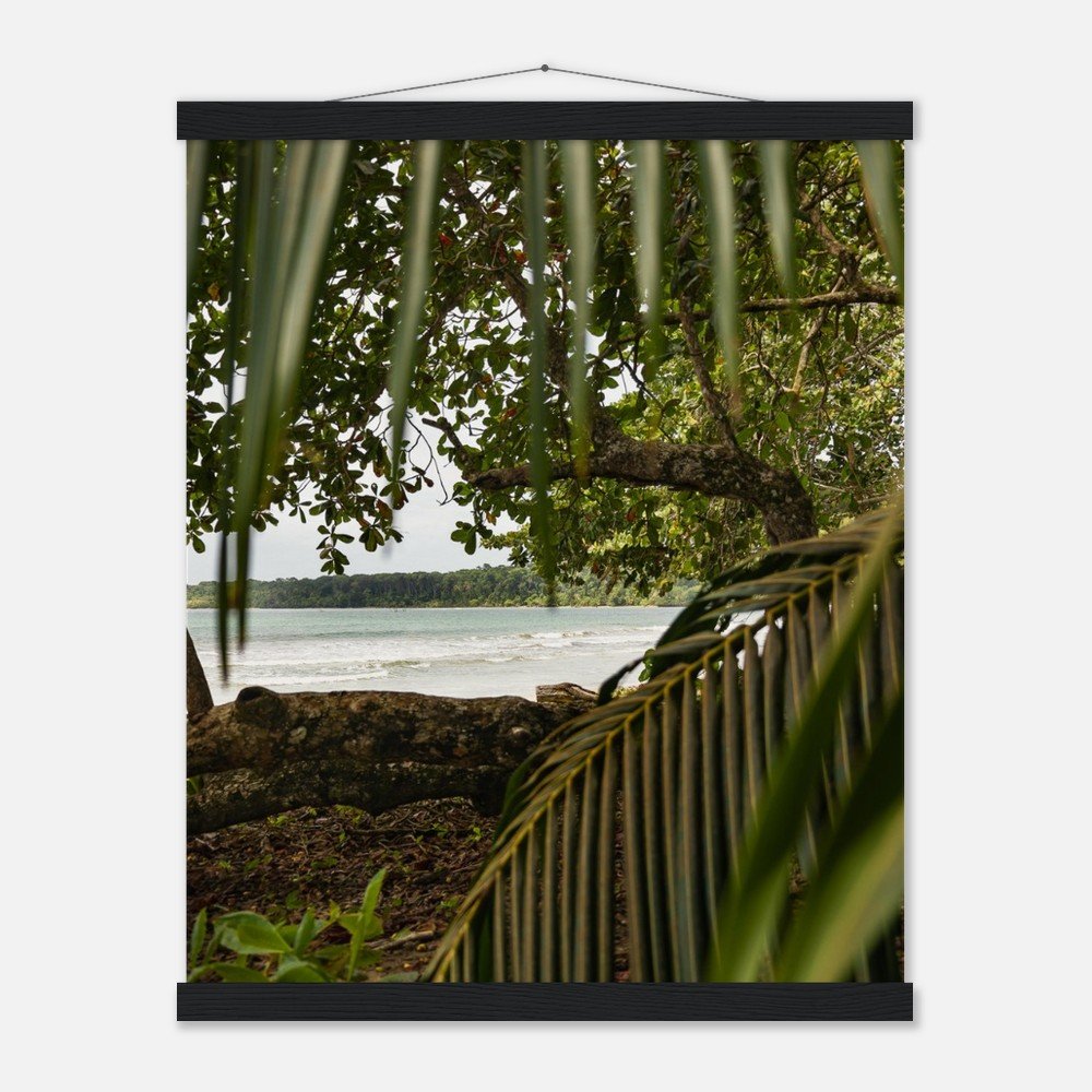 b278d747-c546-44a0-9c0a-cddfa0bf62ca