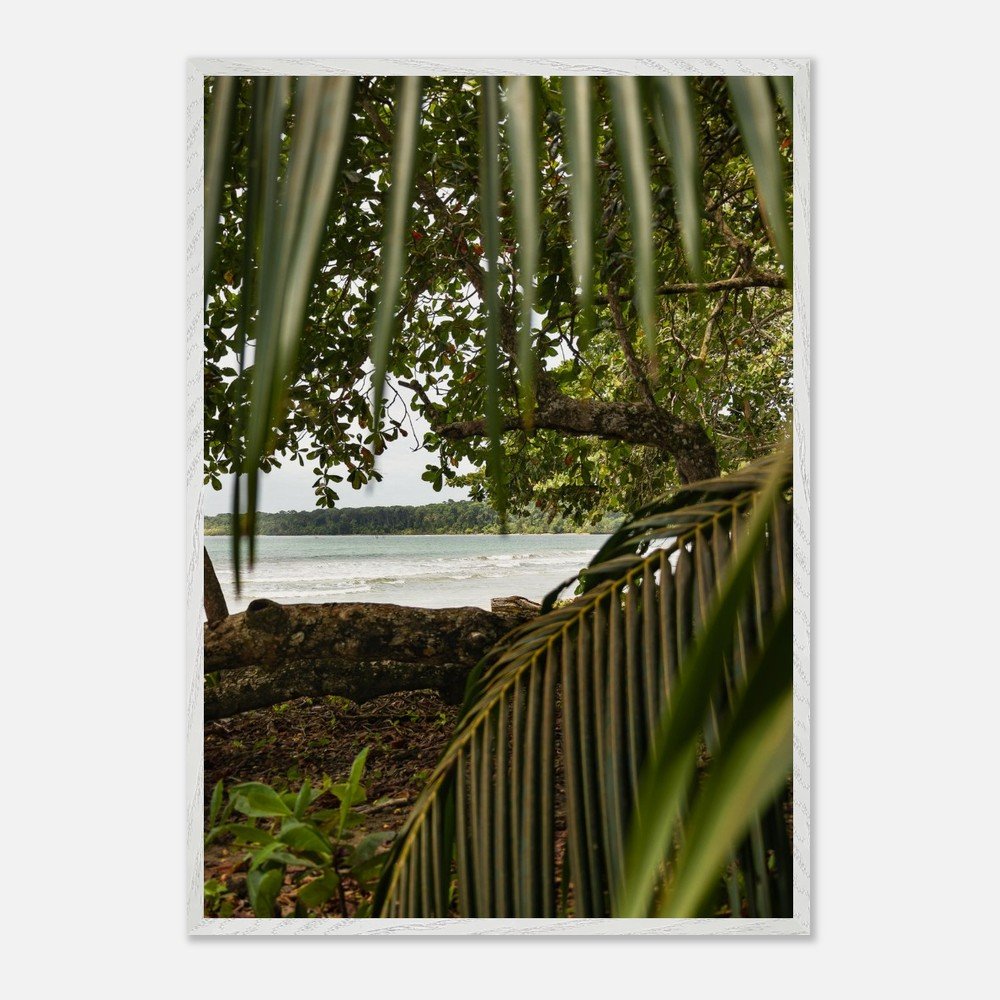 costa rica caribbean sea framed fine art print travel photography print hawaii photography beach print travel decor wall art b9cb9ec7-2daf-4b29-bb06-d78a779262ff