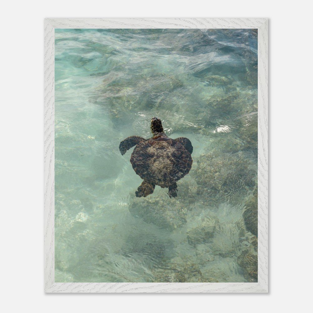 ba5cfa68-58b4-41bc-a11a-e07525f87704