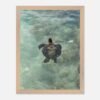 framed print sea turtle hawaii photography fine art wall decor print beach aesthetic poster living room wall art tropical gift for traveler c266df10-a4bd-4960-b204-310b48003667