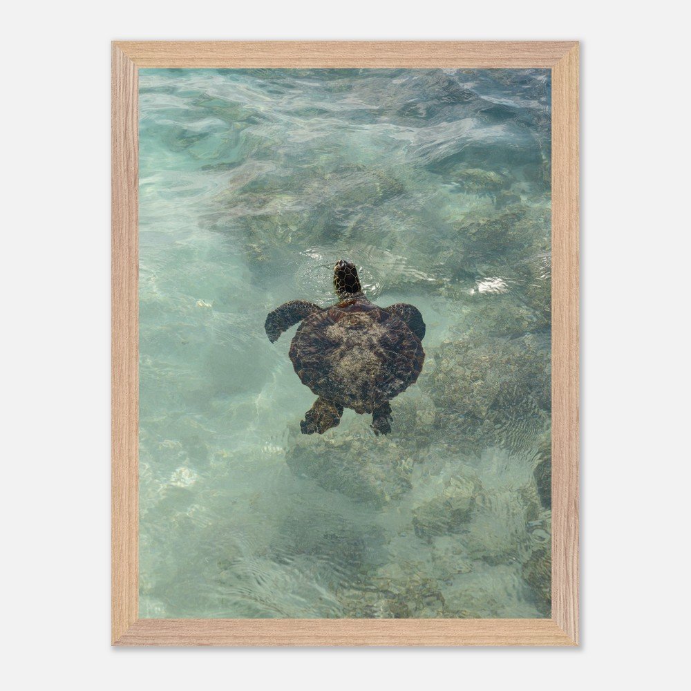 c266df10-a4bd-4960-b204-310b48003667