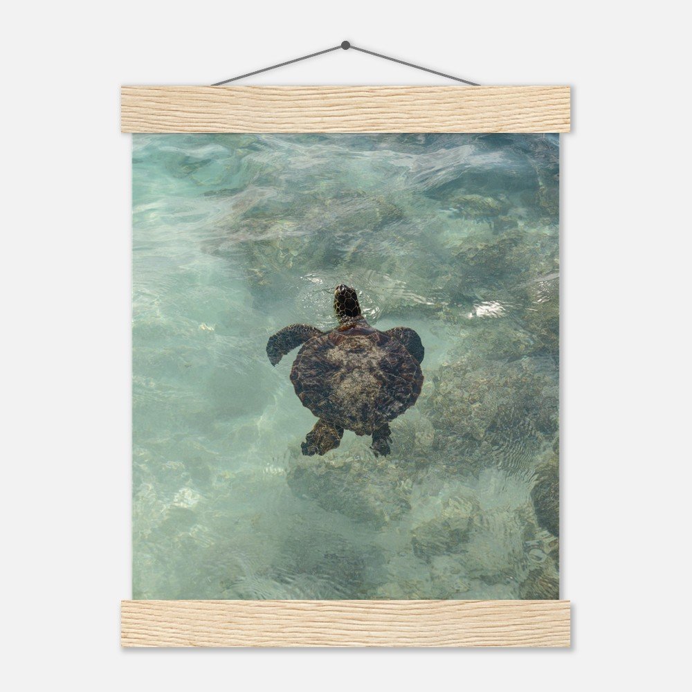 c59a7eff-061e-4946-bc03-8c85962723e6