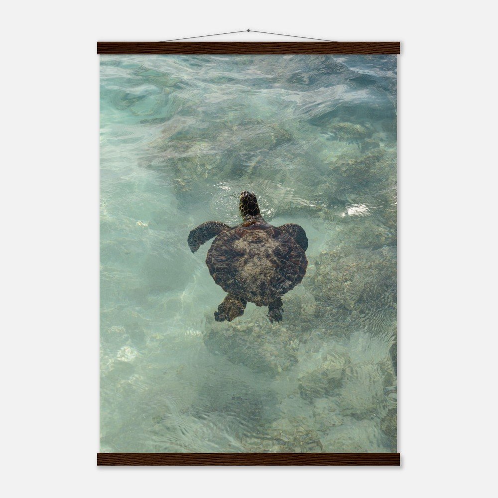 c7c62446-63d5-48f3-bf8f-e6000af33310