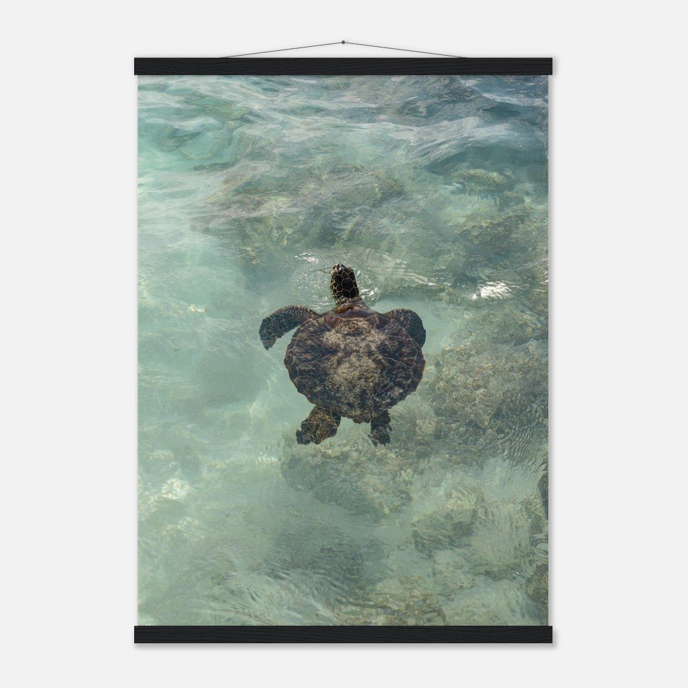 c8a800f4-bb58-4e6f-a696-e33d7a03c3bc