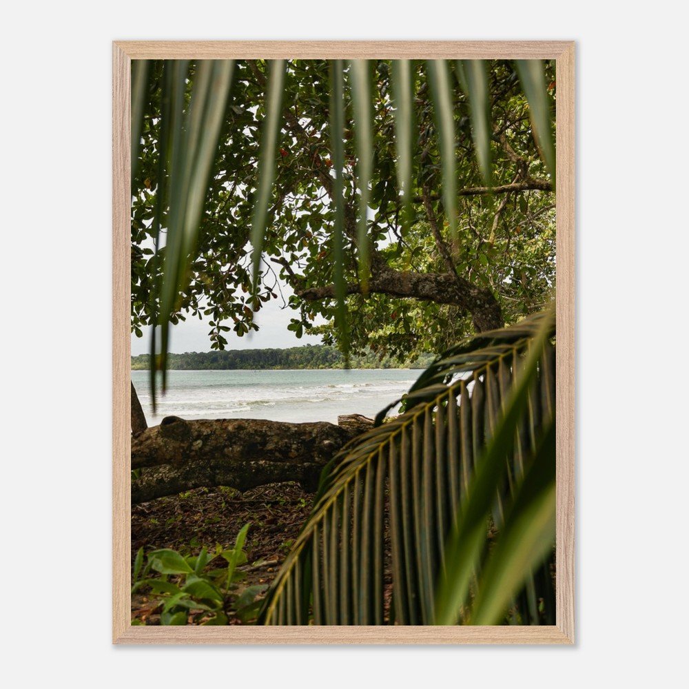 costa rica caribbean sea framed fine art print travel photography print hawaii photography beach print travel decor wall art cbcbd610-f942-4132-bf13-58d592e488e3