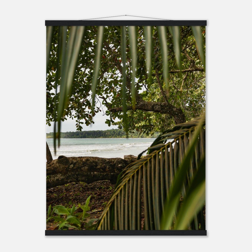 cc1df4bc-fcf9-42c8-8f3c-38785d2906ec