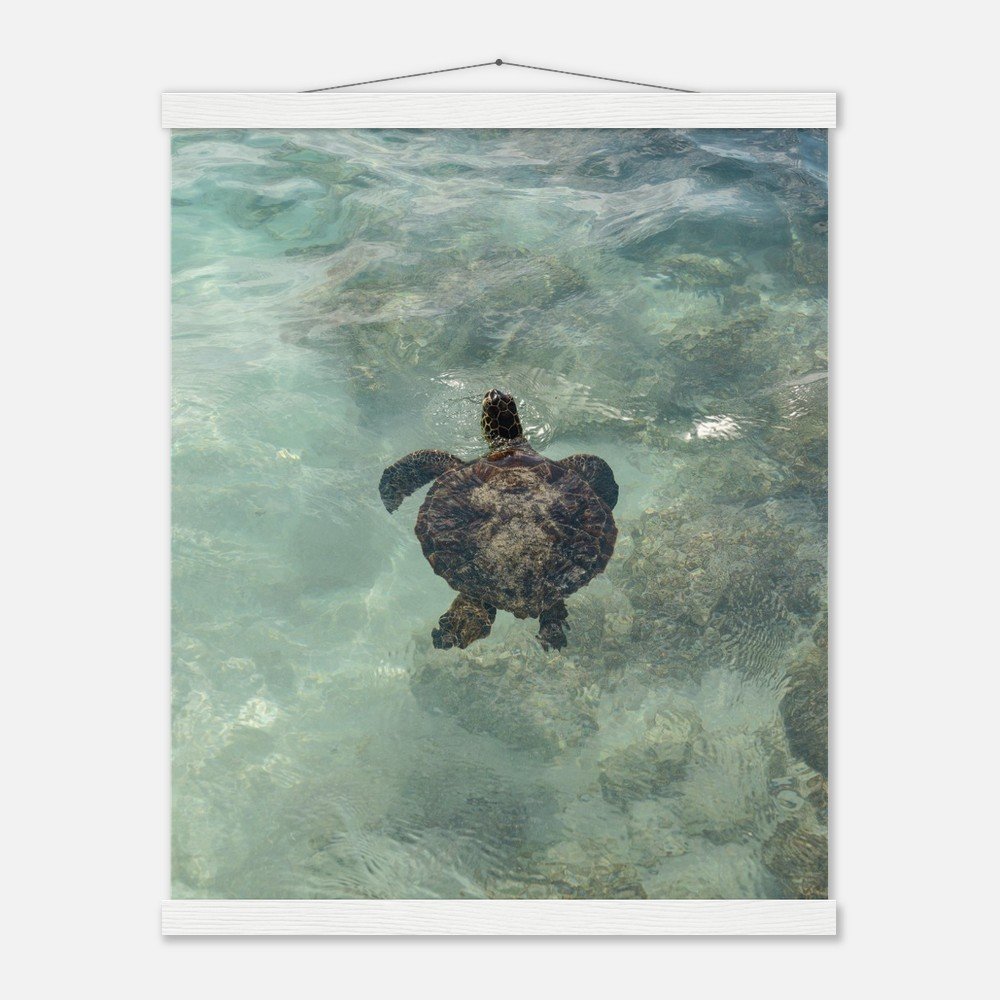 cf56abd6-096d-482a-b3e6-b00323c189c0