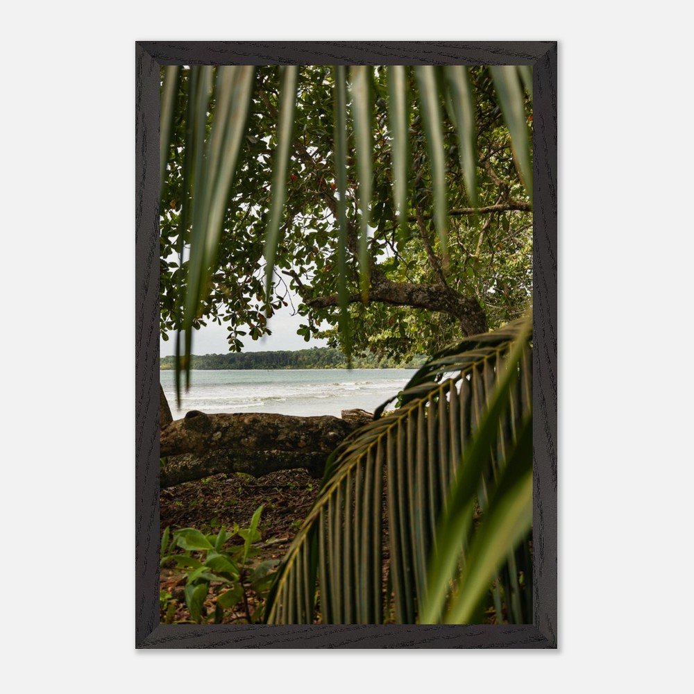 costa rica caribbean sea framed fine art print travel photography print hawaii photography beach print travel decor wall art d0031f45-8781-4ace-89d7-7e6fc2538f42