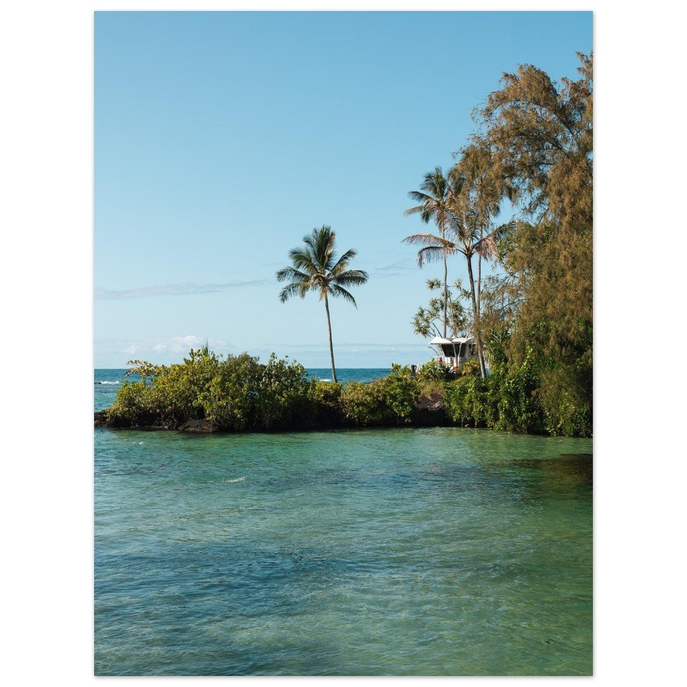 dd0c26c5-a102-49e2-8969-73fad8155862