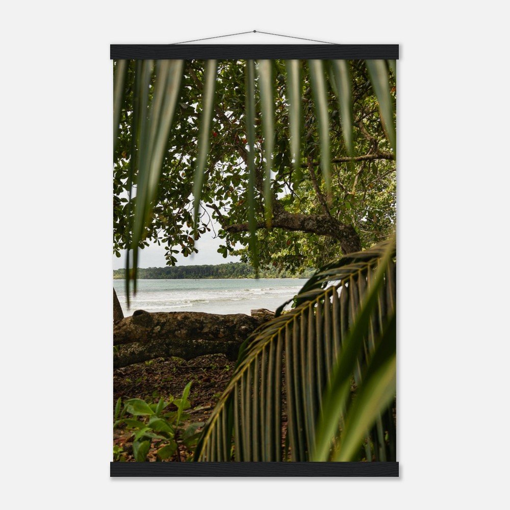 e8521677-0a89-4e4b-8d0d-a4660a01d015