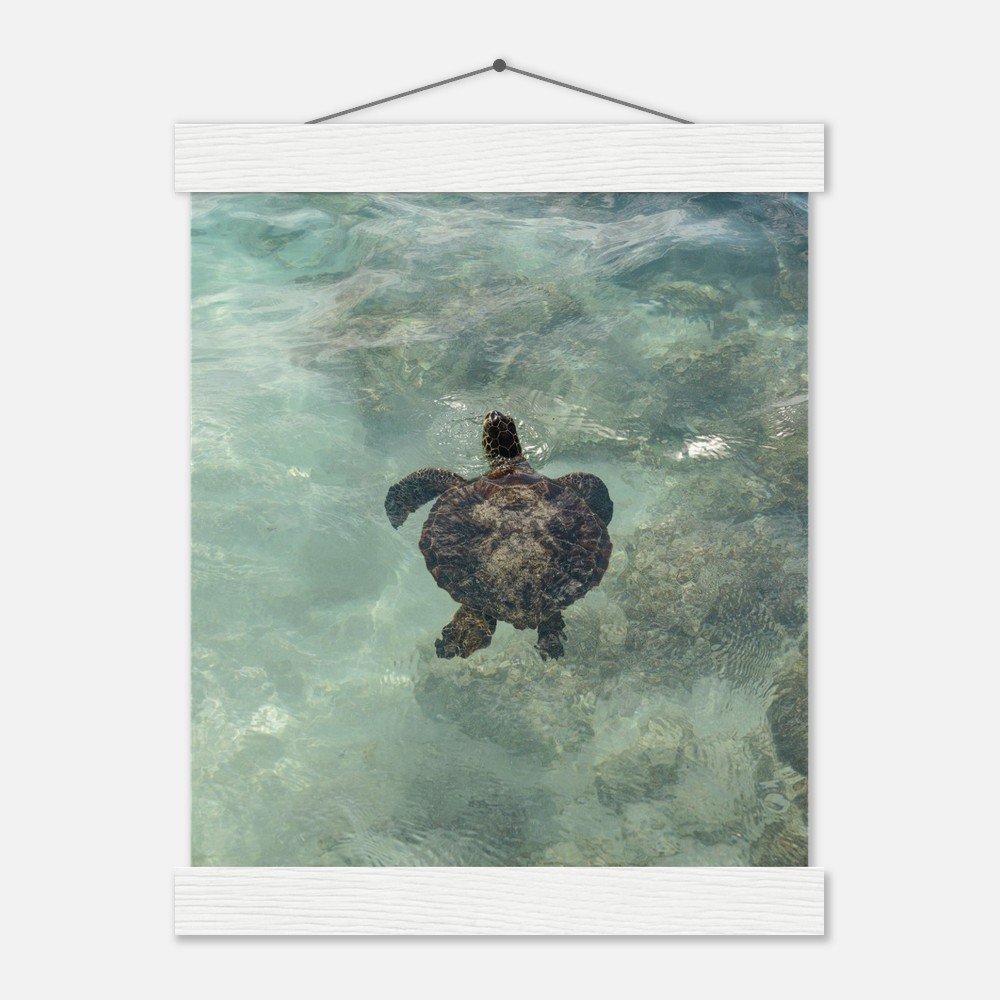 e85baf12-f8ab-4ac4-8f4b-587cca483379