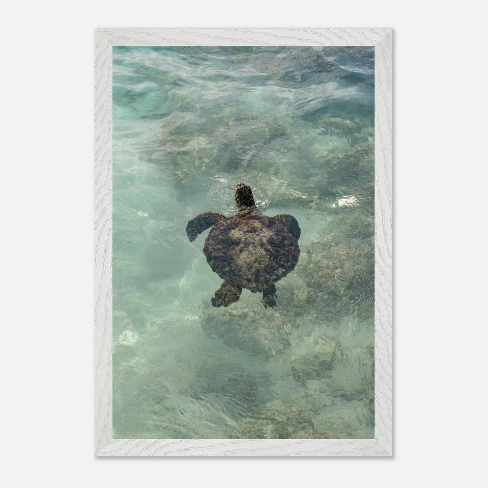 e9e71637-33a3-4f25-a802-edda3e293c73