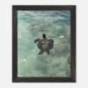 framed print sea turtle hawaii photography fine art wall decor print beach aesthetic poster living room wall art tropical gift for traveler ed7ff8b7-6e69-4ff9-b6bf-2aaf520cea5a