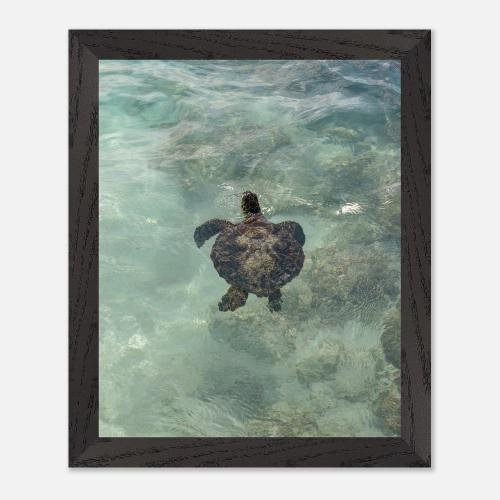 ed7ff8b7-6e69-4ff9-b6bf-2aaf520cea5a