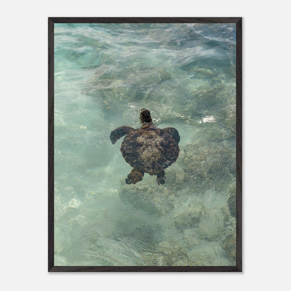 f06da74a-869e-43d9-bf00-2137db5afca7