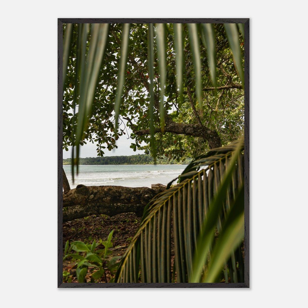 costa rica caribbean sea framed fine art print travel photography print hawaii photography beach print travel decor wall art f3419052-bfe6-4b07-87d3-c3cffb2e28e2
