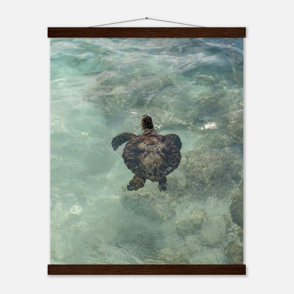 faadc300-363c-4ca2-a922-49414c0312e8