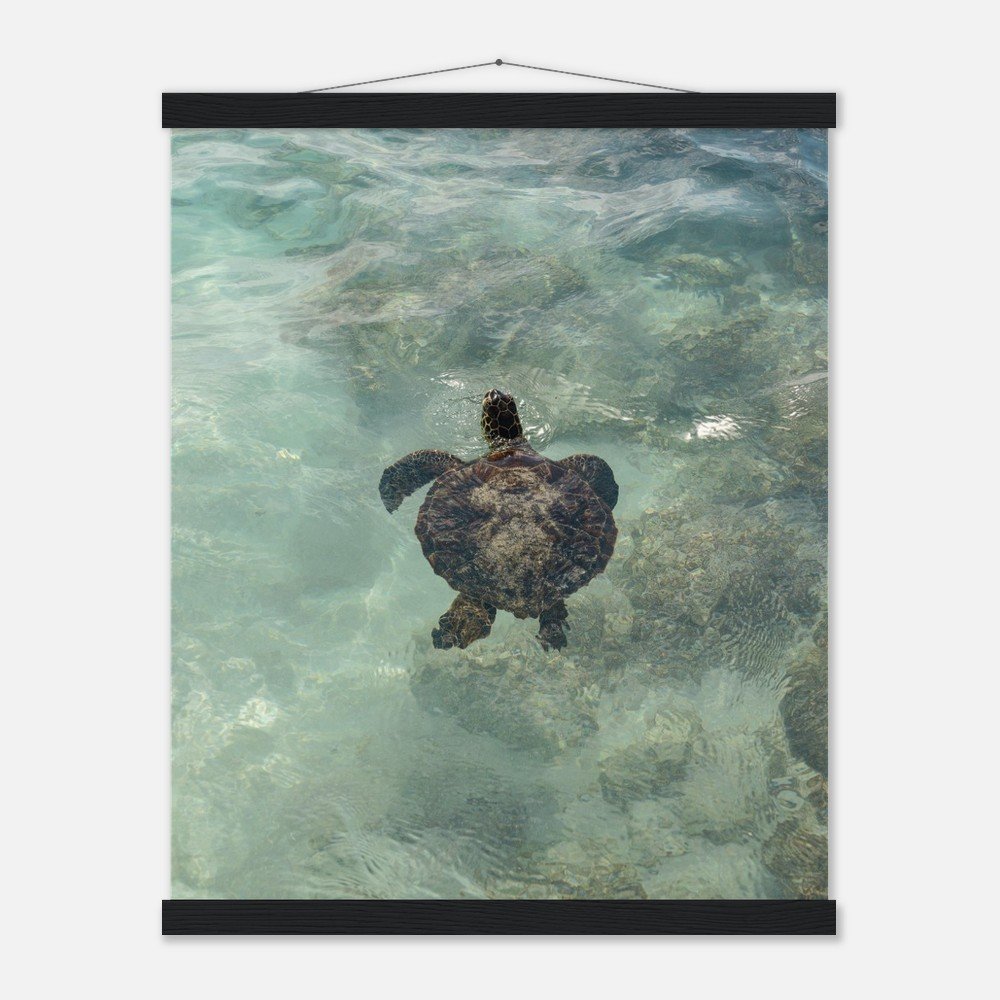 fb9118ab-671a-479f-bfcb-ec200651c376