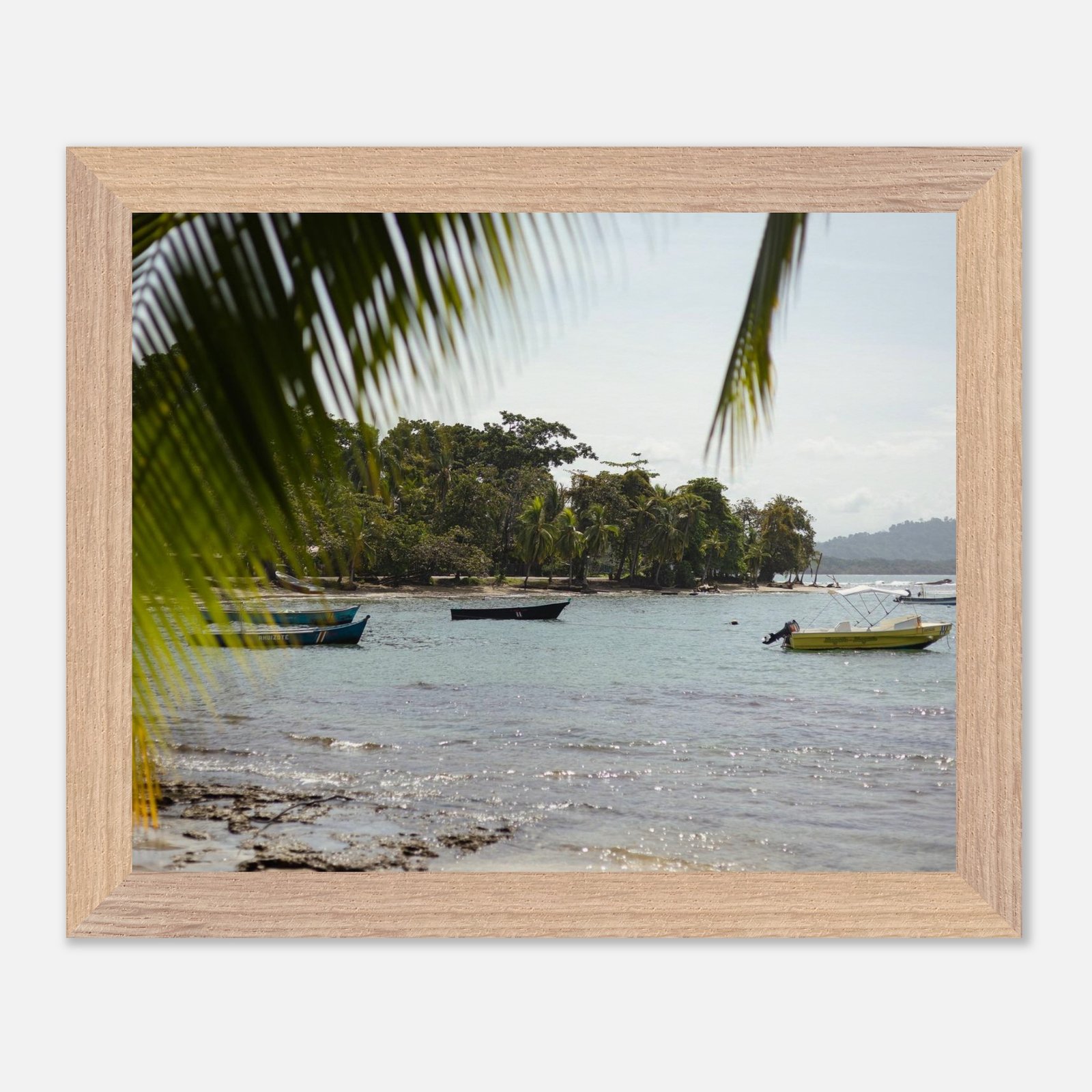 061b1cc8-a6fe-46c5-b323-6df73215b67d