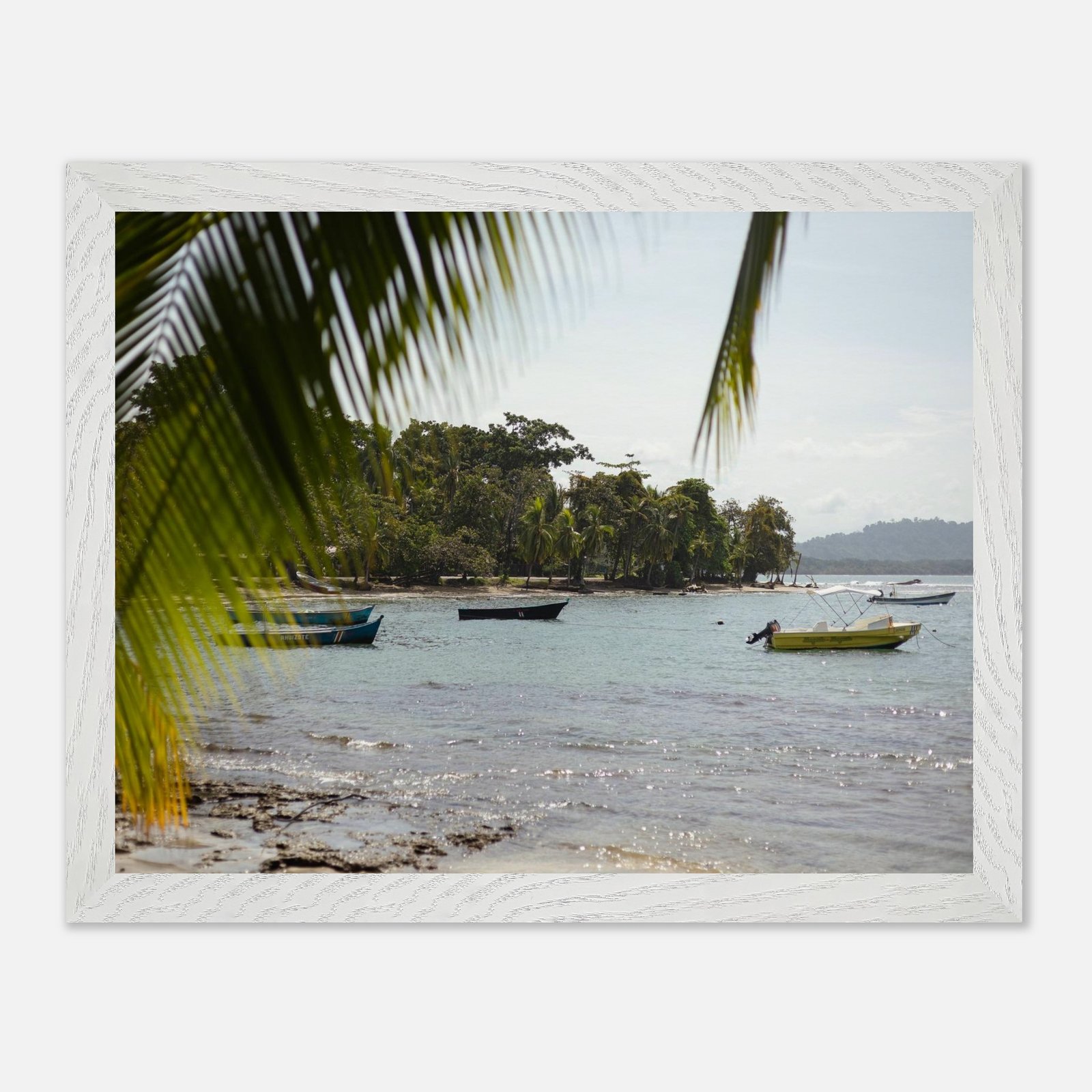 0d9ede56-a6ac-42e6-8a76-edd544629116