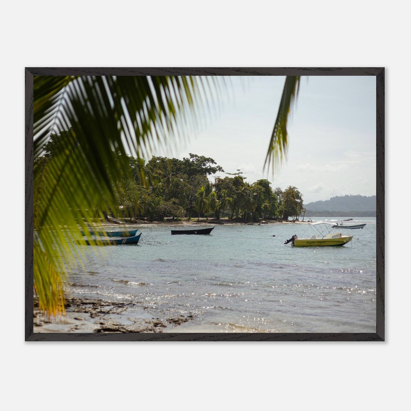 117459b3-e937-4811-9893-c851835013f0