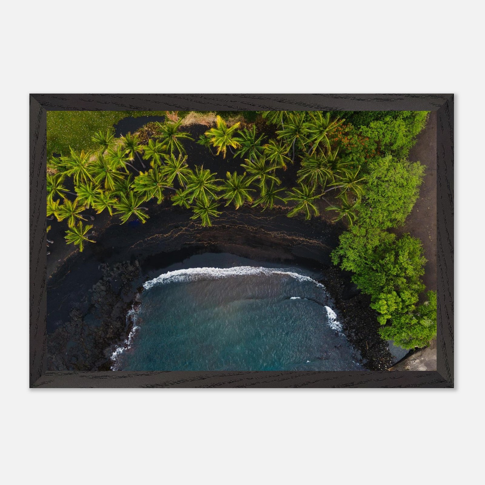 156e7a54-8bb5-488e-b217-a0a65b393647