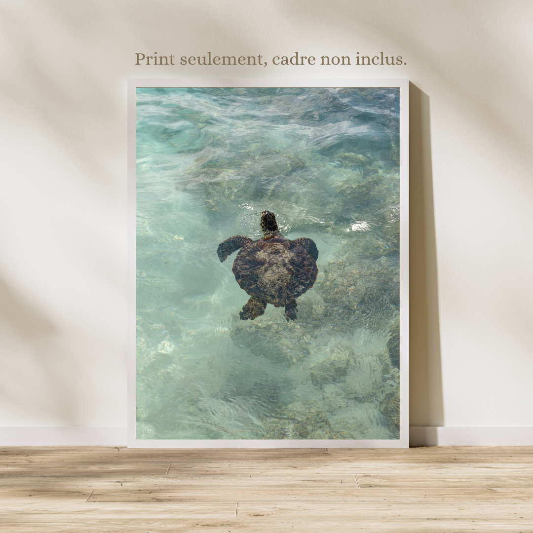 print sea turtle hawaii photography art wall bedroom print beach aesthetic poster travel living room wall art gift for traveler