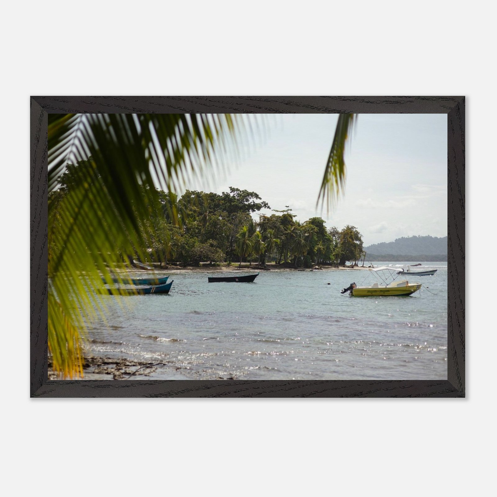 17d7822a-a63e-48cb-9d0f-9ac506525006