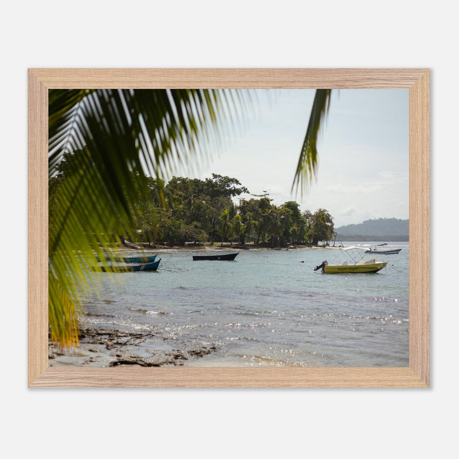 2ef3565b-4c40-4823-9cce-f094dab8c9cf