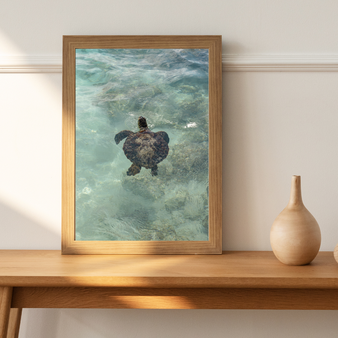 framed print sea turtle hawaii photography fine art wall decor print beach aesthetic poster living room wall art tropical gift for traveler
