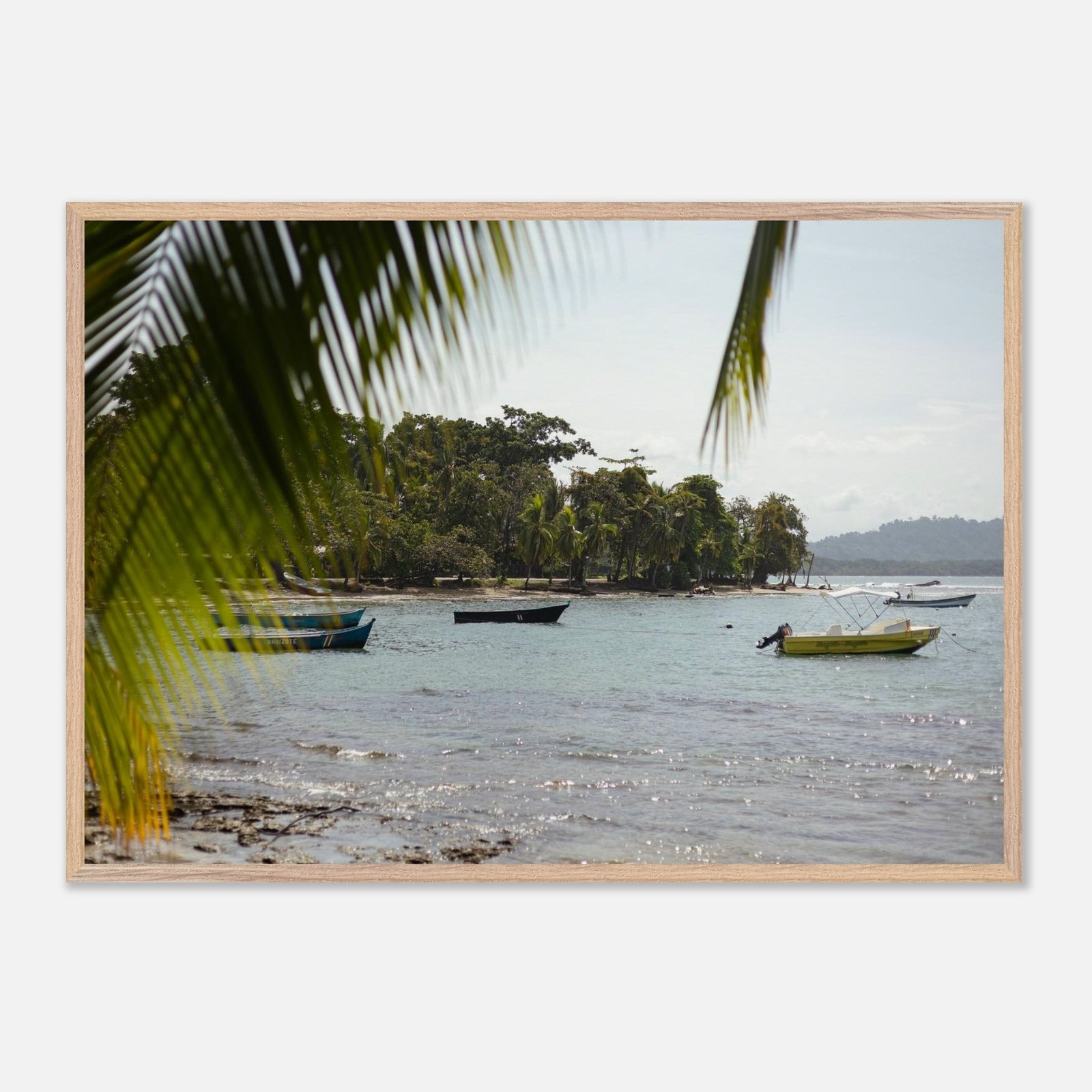 30aa74ba-bb9e-4498-8d6a-be2553975695