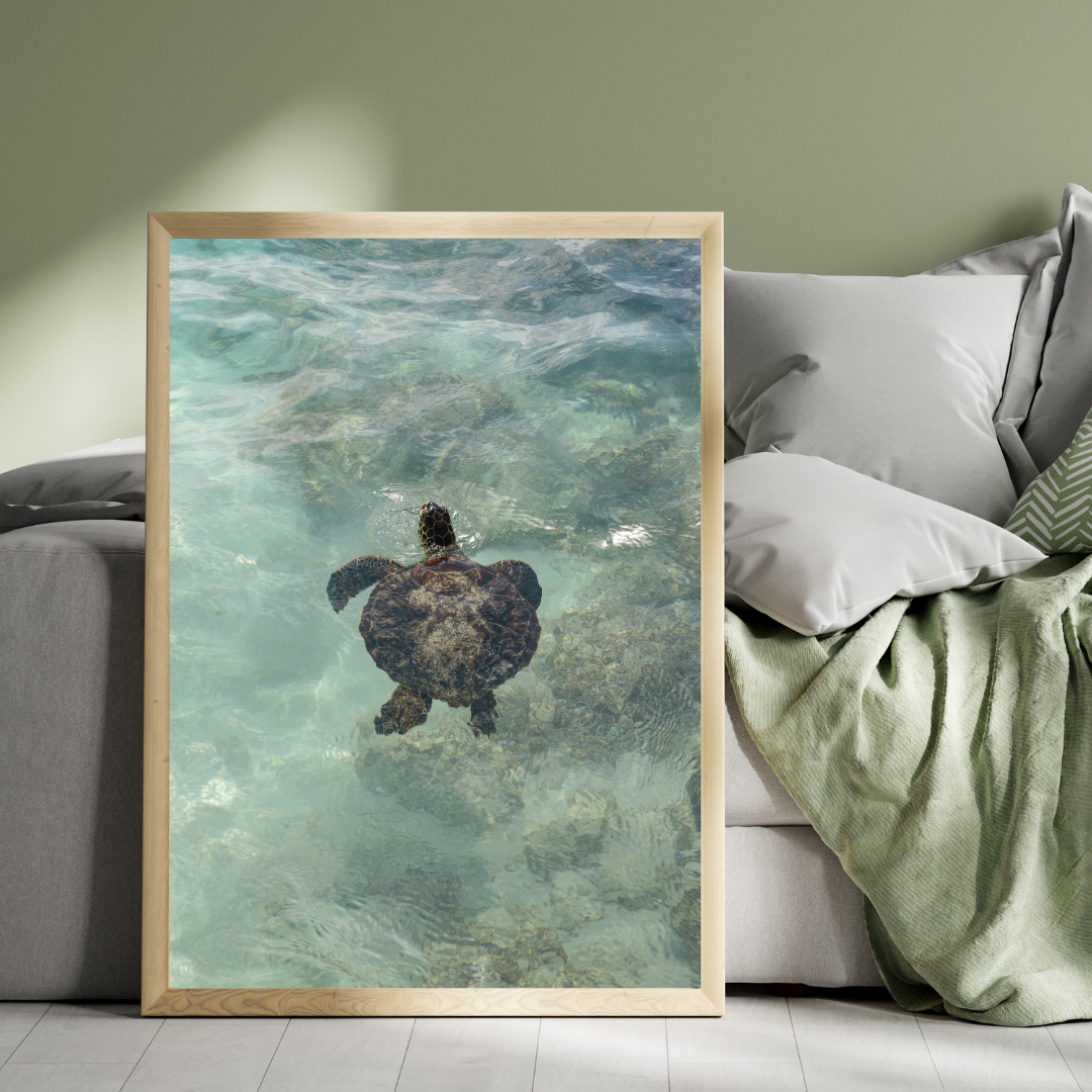framed print sea turtle hawaii photography fine art wall decor print beach aesthetic poster living room wall art tropical gift for traveler